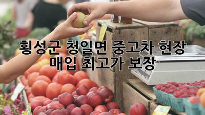 횡성군 청일면 중고차 현장 매입: 최고가 보장!